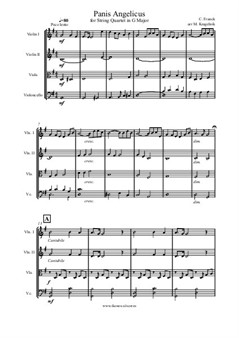C. Franck - Panis Angelicus (String Quartet)